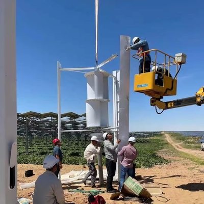 Générateur de turbine éolienne de 3 kW hors réseau domestique à tension nominale de 48V/96V/120V/220/380V