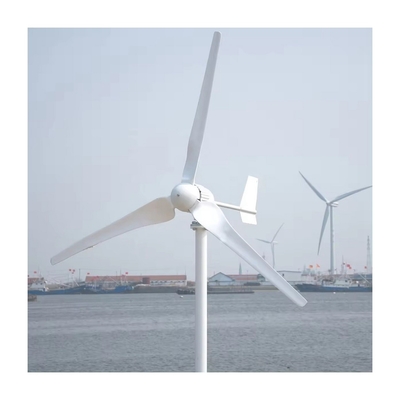 Système d'énergie solaire éolienne de 5 kW abordable avec inverseur d'onde sinusoïdale pure et basse fréquence
