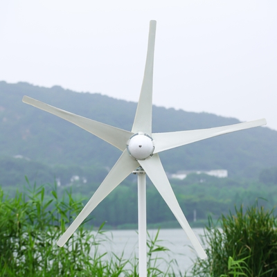 Système hybride éolien solaire de 3 phases de 10 kW sur réseau Système de générateur d'énergie éolienne avec longue