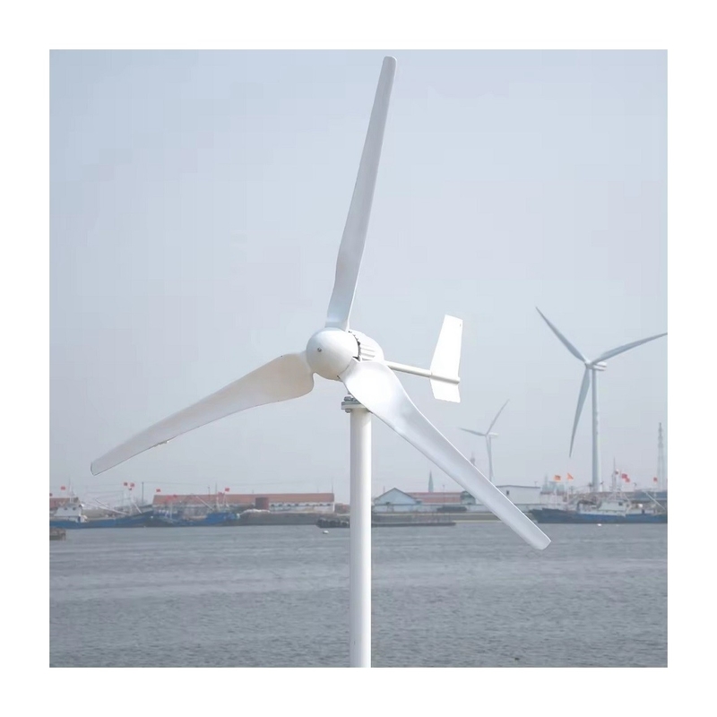 Système d'énergie solaire éolienne de 5 kW abordable avec inverseur d'onde sinusoïdale pure et basse fréquence