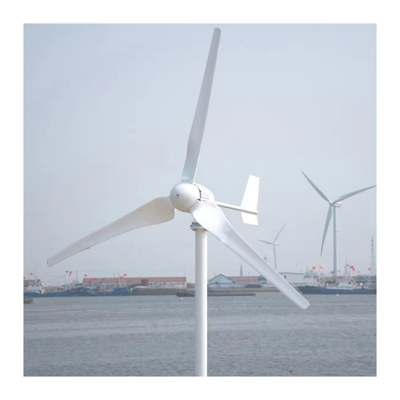 Système d'énergie solaire hybride éolienne de 10 kW hors réseau avec inverseur à basse fréquence d'onde sine pure